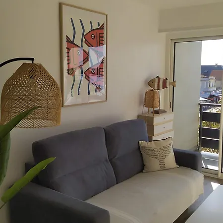 Renove Avec Vue Mer, Grand Balcon, 100m De La Plage, Parking Prive - Plage - Fr-1-730-12 דירה